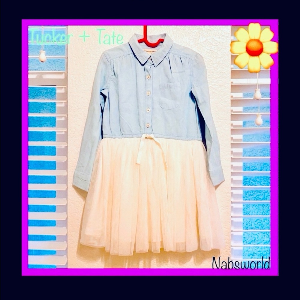 NWOT: TUCKER + TATE DRESS; BLUE CHAMBRAY L/S TOP with CREAM TULLE LAYERED SKIRT!